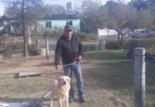 Promueve Alcalde Carlos Peña Ortiz programa de adopción de mascotas