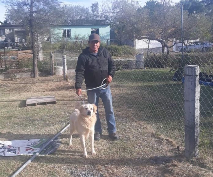 1fbe4af2-6426-417e-9e97-05cfccd27337