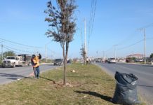 Mejora Alcalde Carlos Peña Ortiz imagen de Reynosa