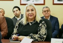 “Otorgan descuentos del 100% en recargos de control vehicular durante enero”: Adriana Lozano.