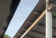 Restaurará ITIFE escuelas del sur afectadas por vientos