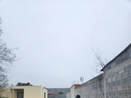 Continuando con la limpieza de calles y liberación de banquetas