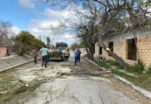 Servicios primarios llevaron a cabo este viernes trabajos de limpieza en la colonia Adolfo López Mateos