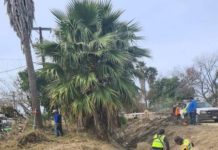 Limpian sector del canal de riego de la colonia Lindavista