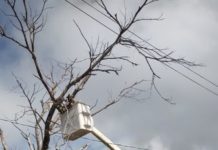 Cuadrillas de Servicios Primarios realizan trabajos en Río Bravo