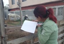 Atiende y resuelve Alcalde Carlos Peña Ortiz denuncias por maltrato animal