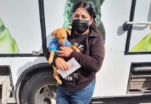 Programa de adopción animal del Gobierno de Reynosa crea conciencia en ciudadanía