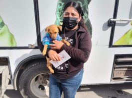 Programa de adopción animal del Gobierno de Reynosa crea conciencia en ciudadanía