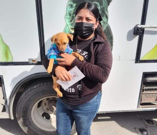Programa de adopción animal del Gobierno de Reynosa crea conciencia en ciudadanía