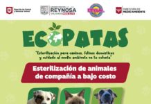 Lleva Alcalde Carlos Peña Ortiz programa EcoPatas a colonia Misión Santa Fe
