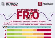Cuidar del frío a mascotas recomienda Carlos Peña Ortiz, Alcalde de Reynosa