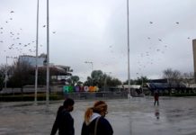 Alertan a población por helada invernal en las próximas horas