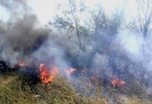 Bomberos acuden a llamado de incendio en predio baldío