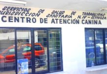 Centro Antirrábico de Reynosa invita a la ciudadanía a esterilizar animalitos domésticos
