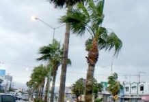 Fuertes vientos solo ocasionaron daños materiales en la ciudad