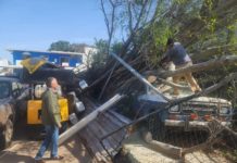 Supervisa Chucho Nader Labores de Limpieza por Afectaciones del Frente Frío