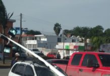Un semáforo y una luminaria caída por el norte en Madero; Auto sufre daño