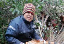 Rescatan del frío a 25 iguanas de la Laguna del Carpintero