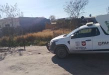 Velan rescatistas y Gobierno de Reynosa por animal maltratado