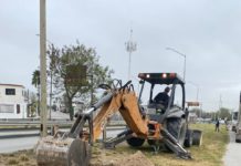 Transforma Alcalde Carlos Peña Ortiz imagen de Reynosa con reforestación
