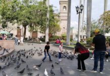 Más de 100 mil visitantes han atendido autoridades de Turismo en Tampico