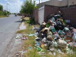 Multan y sancionan a violadores de las leyes ambientales; aplican más de 200