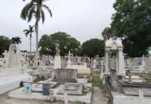 Ante la falta de espacios en cementerios se deben hacer nichos