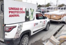 Protegen a mascotas de la calle con refugios temporales por bajas temperaturas