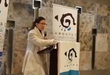 “Invertirán 385 millones de dólares 15 empresas nacionales y extrajeras en el primer trimestre del 2024”: Ninfa Cantú.