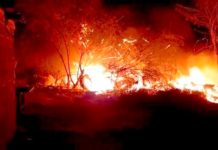 Voraz incendio arrasa viviendas en la colonia Arcoíris