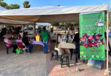 Anuncia Gobierno de Carlos Peña Ortiz primera edición del Jardín del Arte