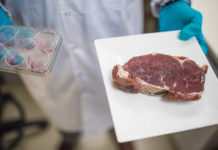 Israel se convierte en el primer país del mundo en autorizar la venta de carne de vacuno cultivada