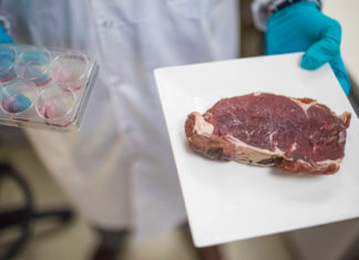 Israel se convierte en el primer país del mundo en autorizar la venta de carne de vacuno cultivada