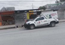 Alcalde Carlos Peña Ortiz comprometido con protección animal