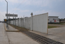 Detectan 5 casos de brucelosis en el Rastro de Tampico