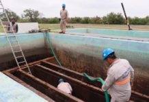 Analiza COEPRIS calidad del agua Potable en zonas aledañas a la playa