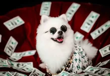 Abuelita deja millonaria herencia a sus mascotas porque sus hijos no la visitaron nunca