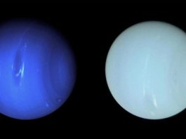 Ni tan azul, ni tan verde: revelan por primera vez el verdadero color de los planetas Urano y Neptuno
