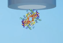 Desarrollan el primer prototipo de batería con base en un elemento de la sangre humana