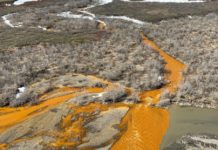 Ríos de Alaska se están volviendo anaranjados y ácidos, pero los científicos no pueden explicarlo
