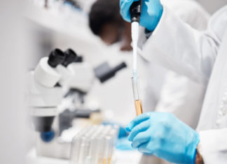 Científicos desarrollan un antibiótico capaz de eliminar bacterias resistentes a los fármacos