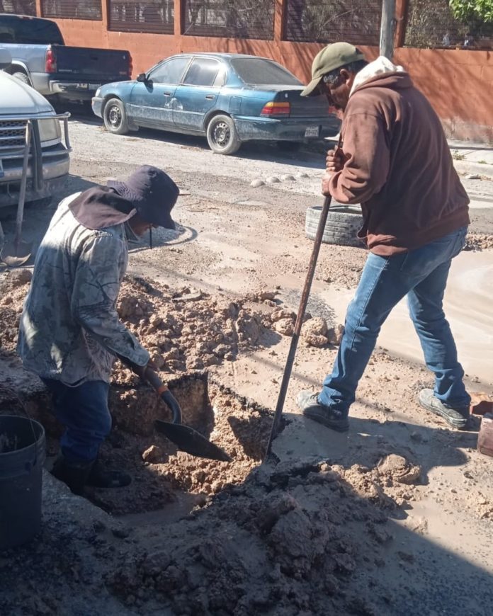 044bc1f0-f3b5-4fa9-b55e-5417b3bb600b