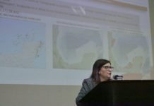 Exploran coexistencia entre arrecifes artificiales y extracción de hidrocarburos