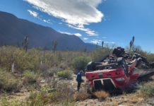 Vuelca trailer cargado de limones en carretera a Palmillas