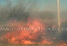 Bomberos sofocan incendio en pastizal en carretera a San Fernando