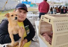 Avalan ciudadanos mejora en calidad de vida para animales en Reynosa