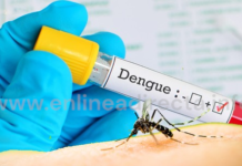 Casos de dengue se duplican van 29 casos