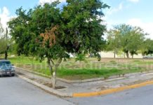 Rateros ocasionan daños para robar en unidad