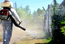 Técnicos de la SS fumigan y abaten en zonas de riesgo para prevenir el dengue