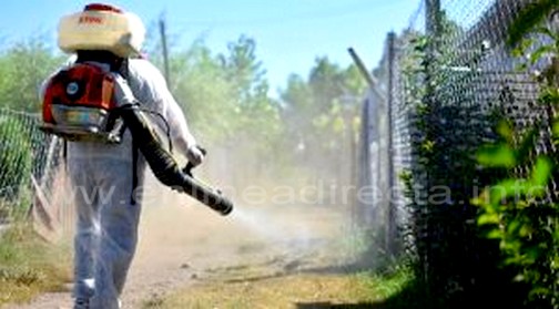 Técnicos de la SS fumigan y abaten en zonas (1)